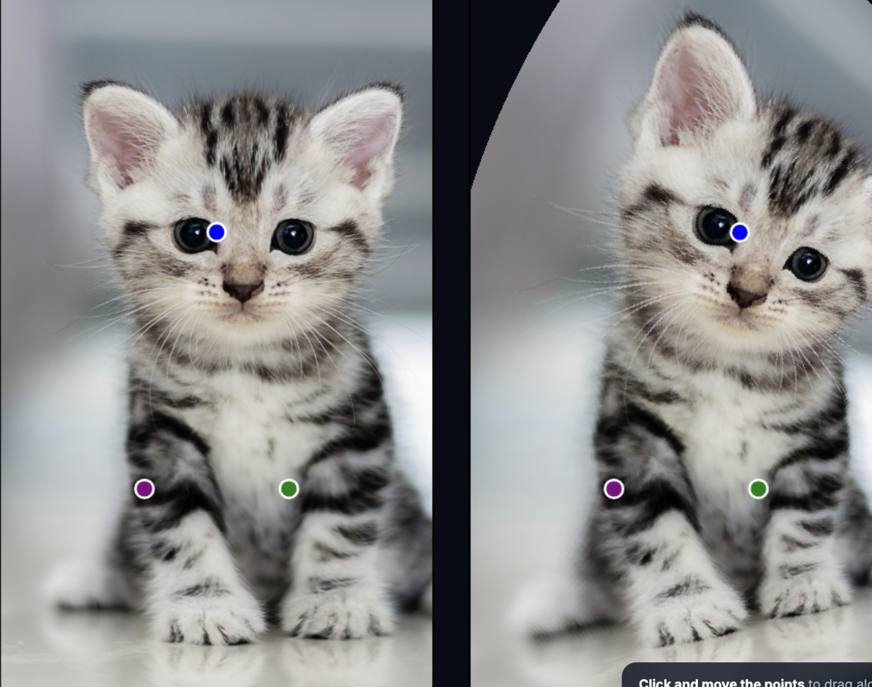 Preview of the Mobius cats animation
